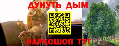apvp Лесосибирск