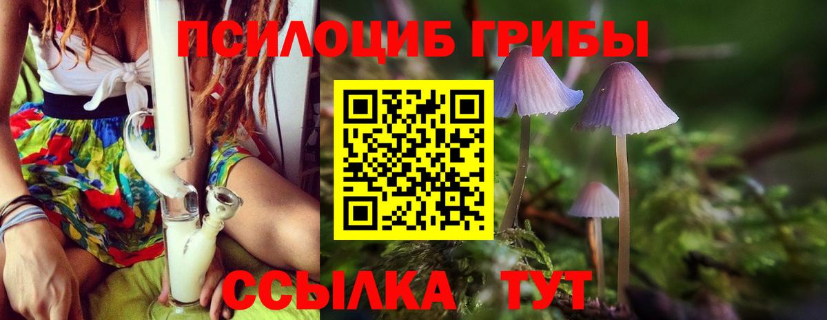 Зеленогорск  Галлюциногенные грибы мицелий  Галлюциногенные грибы мицелий  Вход с VPN 